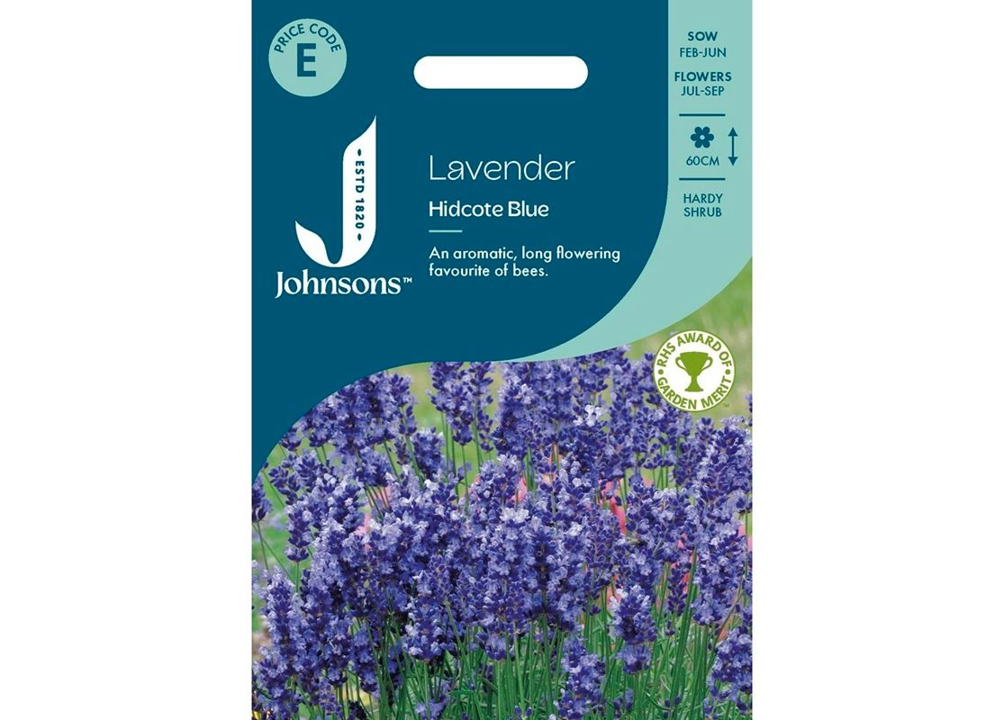 LAVENDER Hidcote Blue LAVENDER Hidcote Blue