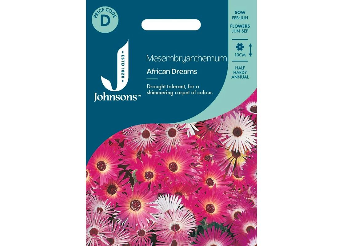 MESEMBRYANTHEMUM African Dream