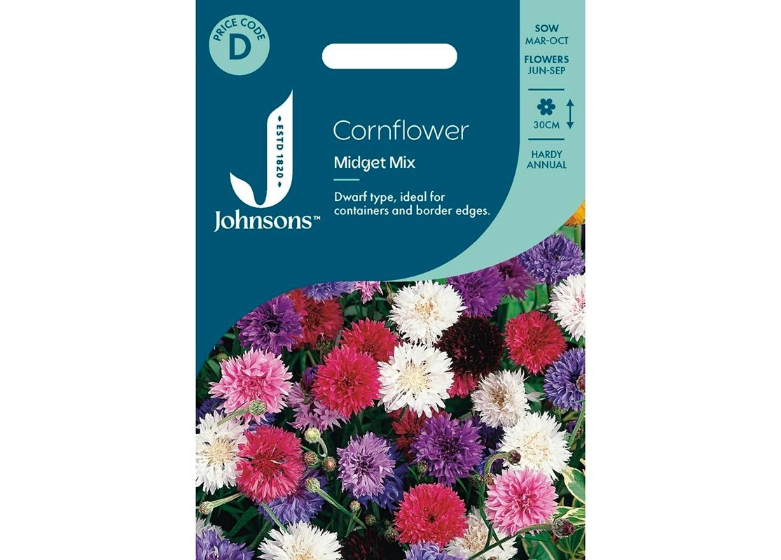 CORNFLOWER Midget Mix CORNFLOWER Midget Mix