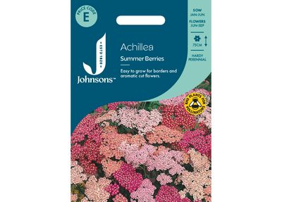 ACHILLEA Summer Berries ACHILLEA Summer Berries