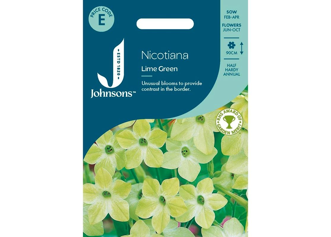 NICOTIANA Lime Green NICOTIANA Lime Green