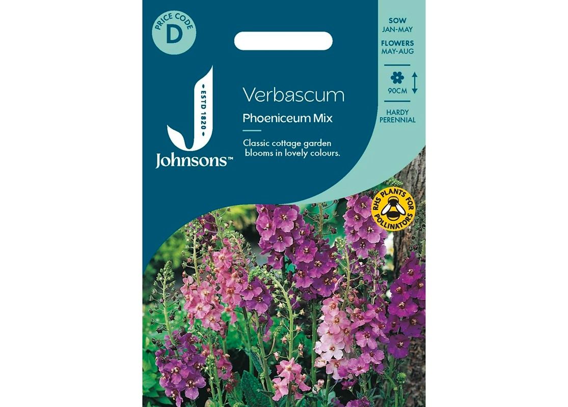 VERBASCUM phoeniceum Mix VERBASCUM phoeniceum Mix
