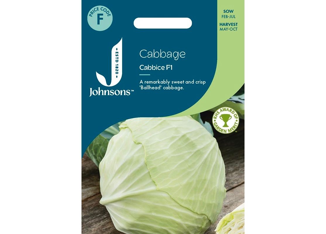 CABBAGE Cabbice F1