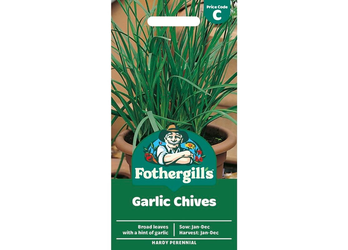 GARLIC CHIVES GARLIC CHIVES