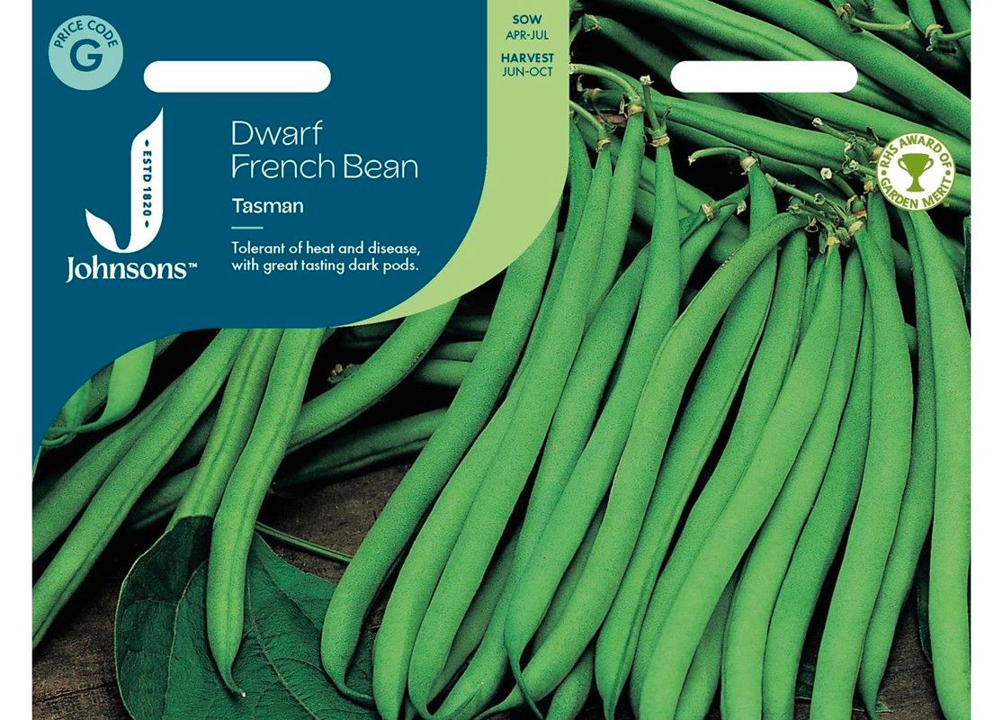 DWARF FRENCH BEAN Tasman