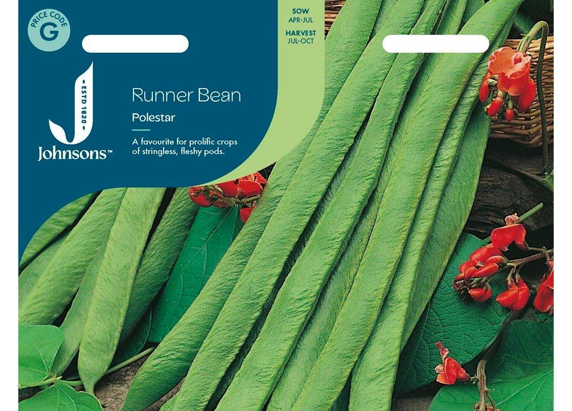 RUNNER BEAN Polestar