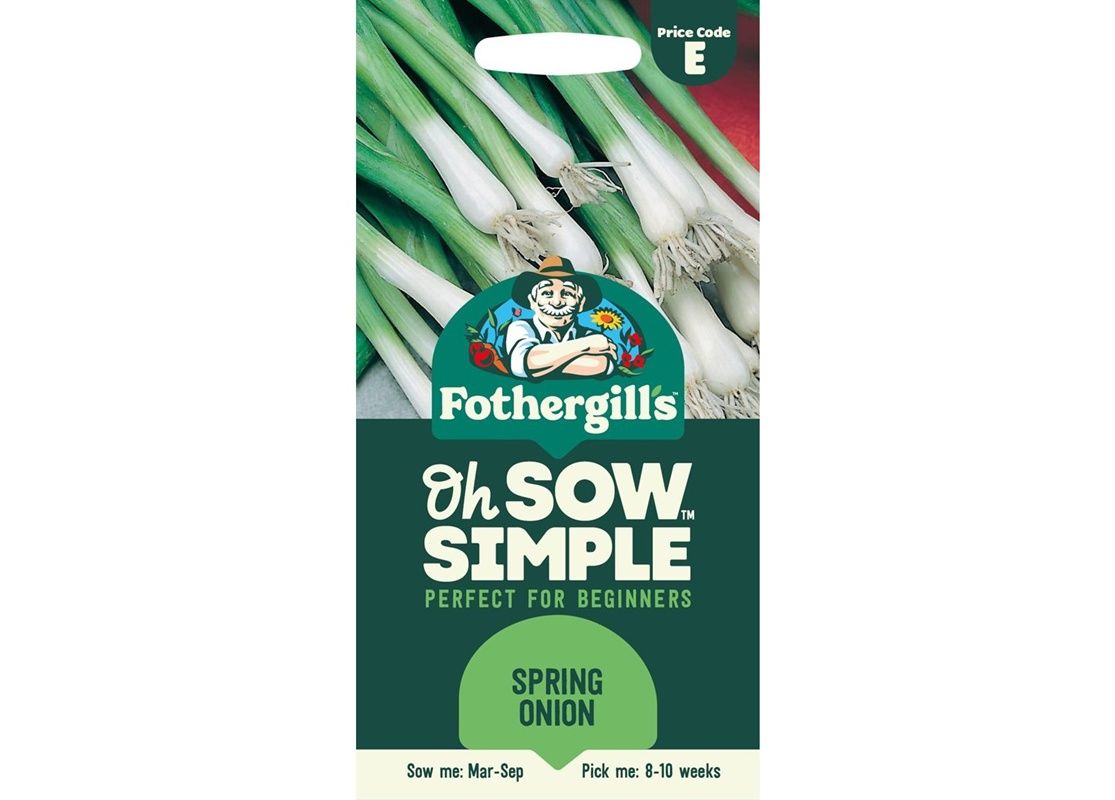 ONION (Spring) Guardsman ONION (Spring) Guardsman