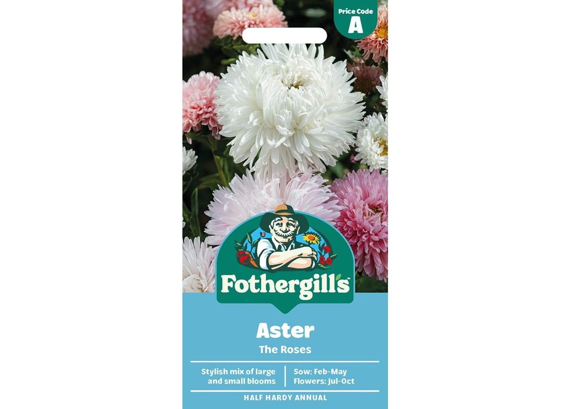 ASTER The Roses ASTER The Roses