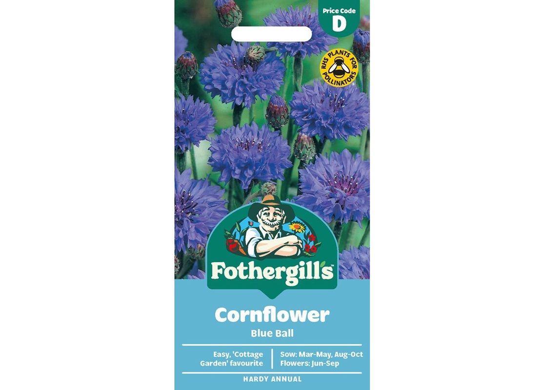 CORNFLOWER Blue Ball