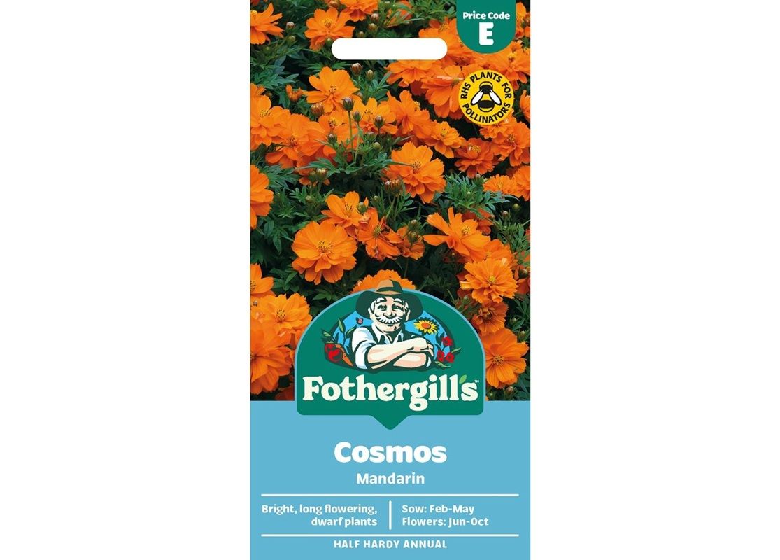 COSMOS Mandarin COSMOS Mandarin