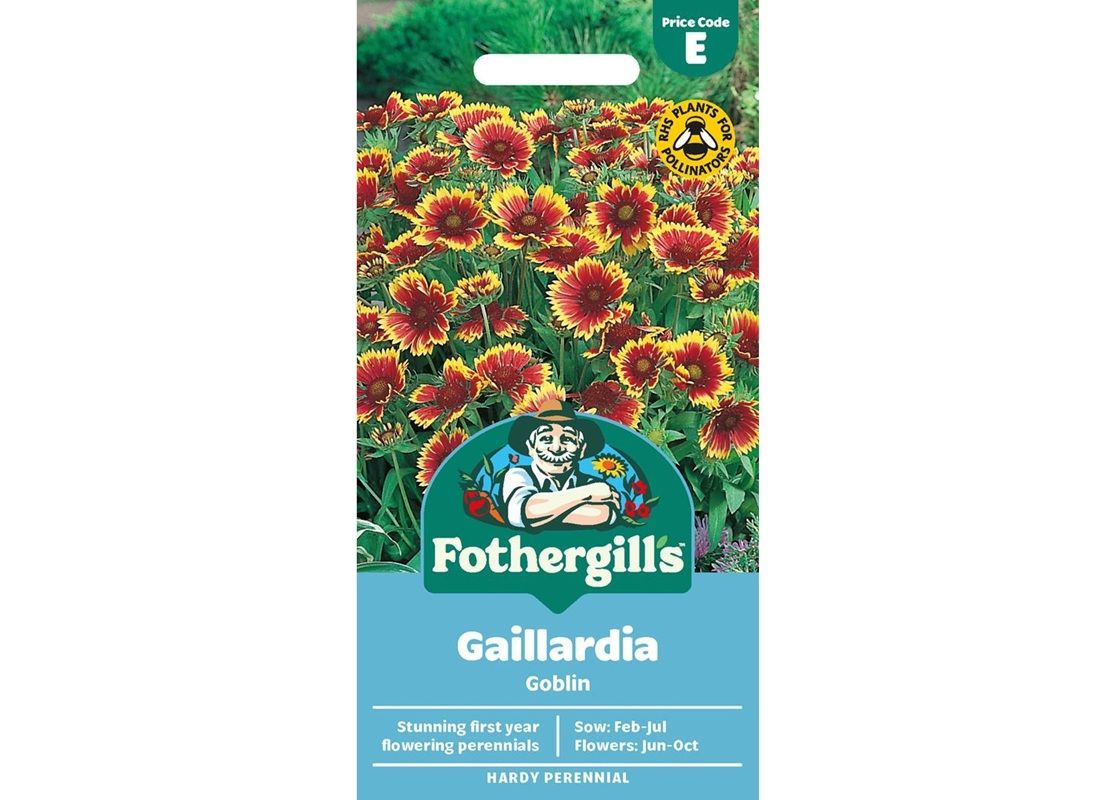 GAILLARDIA Goblin