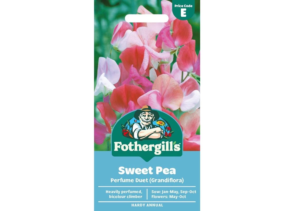 SWEET PEA Perfume Duet (Grandiflora)