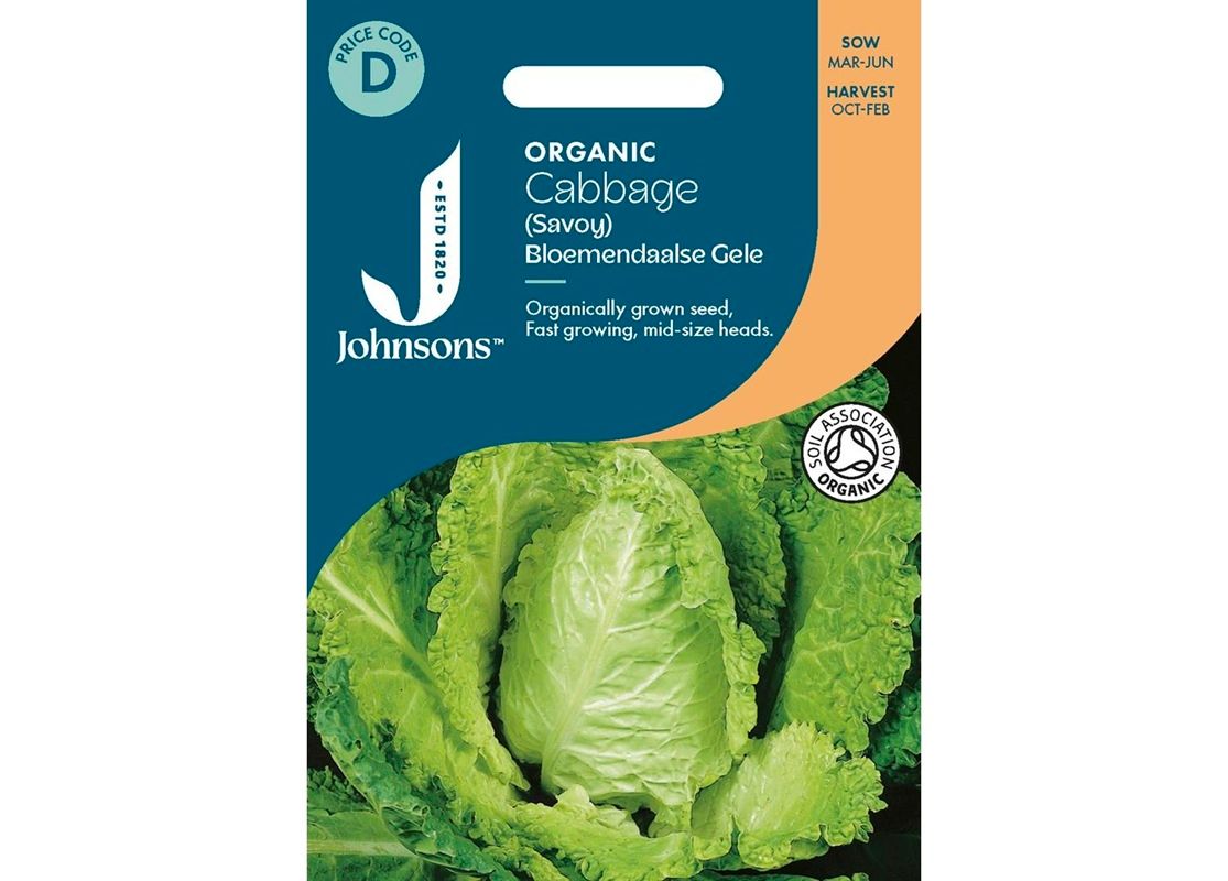 CABBAGE (Savoy) Bloemendaalse Gele ORG