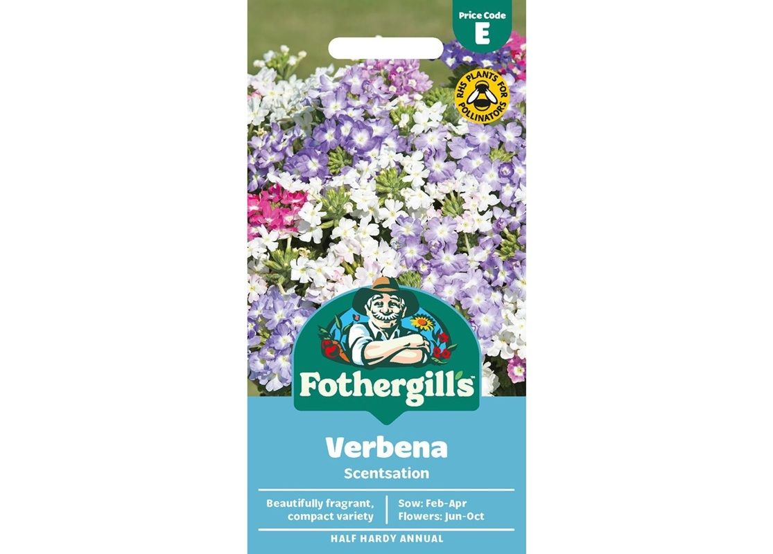 VERBENA Scentsation VERBENA Scentsation