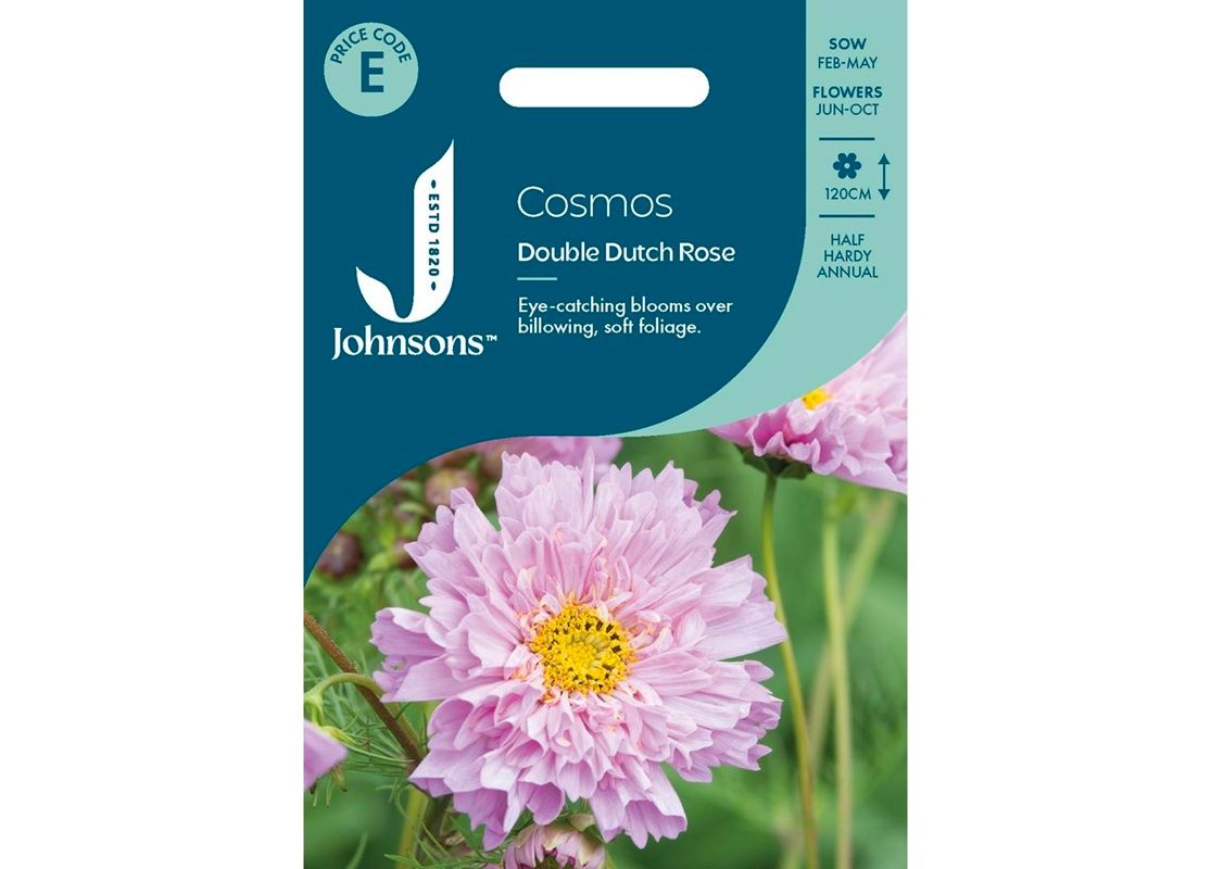 COSMOS Double Dutch Rose