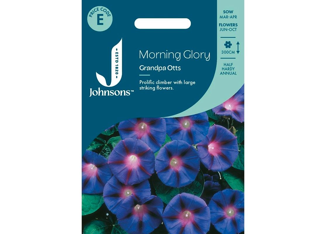 MORNING GLORY Grandpa Otts