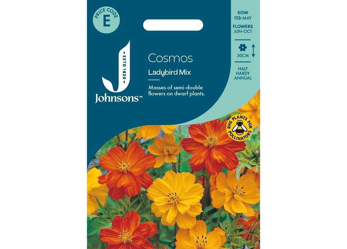 COSMOS Ladybird Mix COSMOS Ladybird Mix