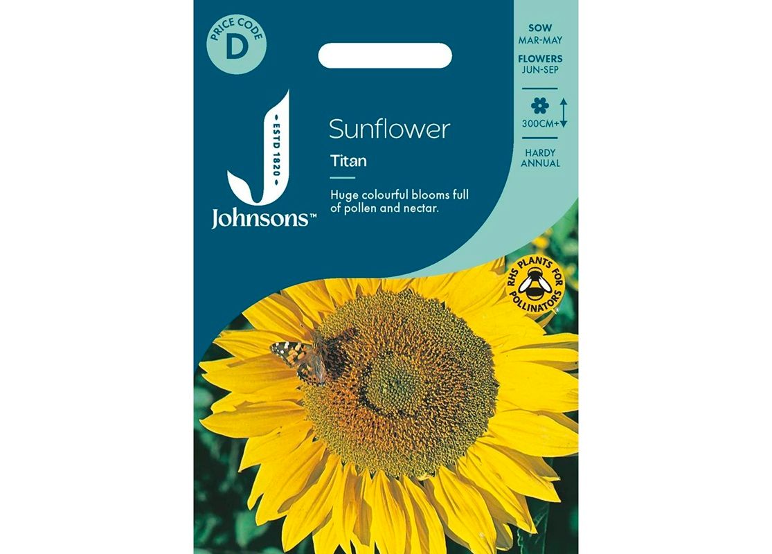 SUNFLOWER Titan
