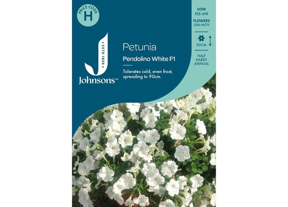 PETUNIA Pendolino White F1 PETUNIA Pendolino White F1