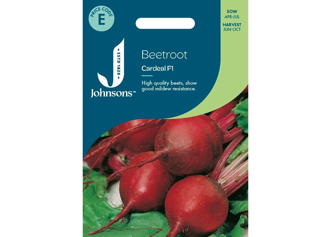 BEETROOT Cardeal F1