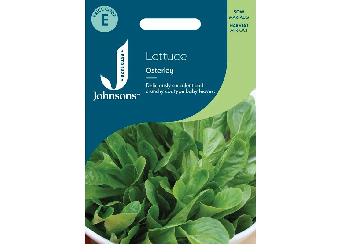 LETTUCE Osterley