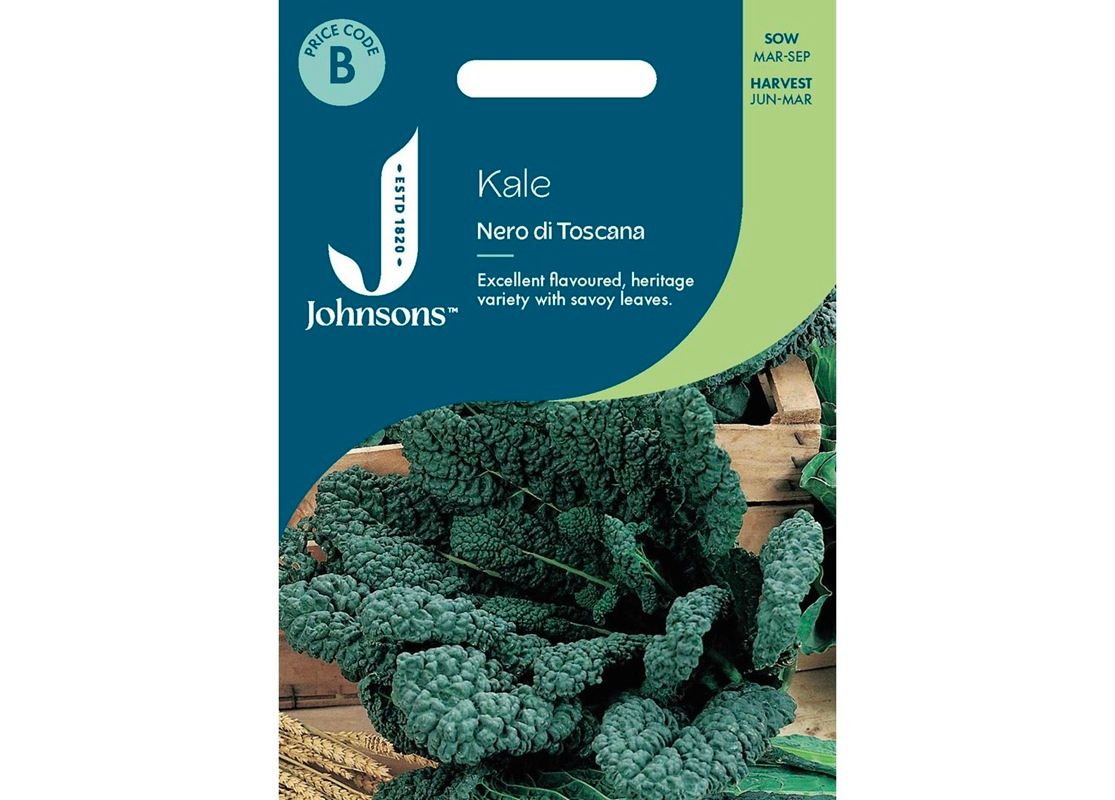 KALE Nero di Toscana