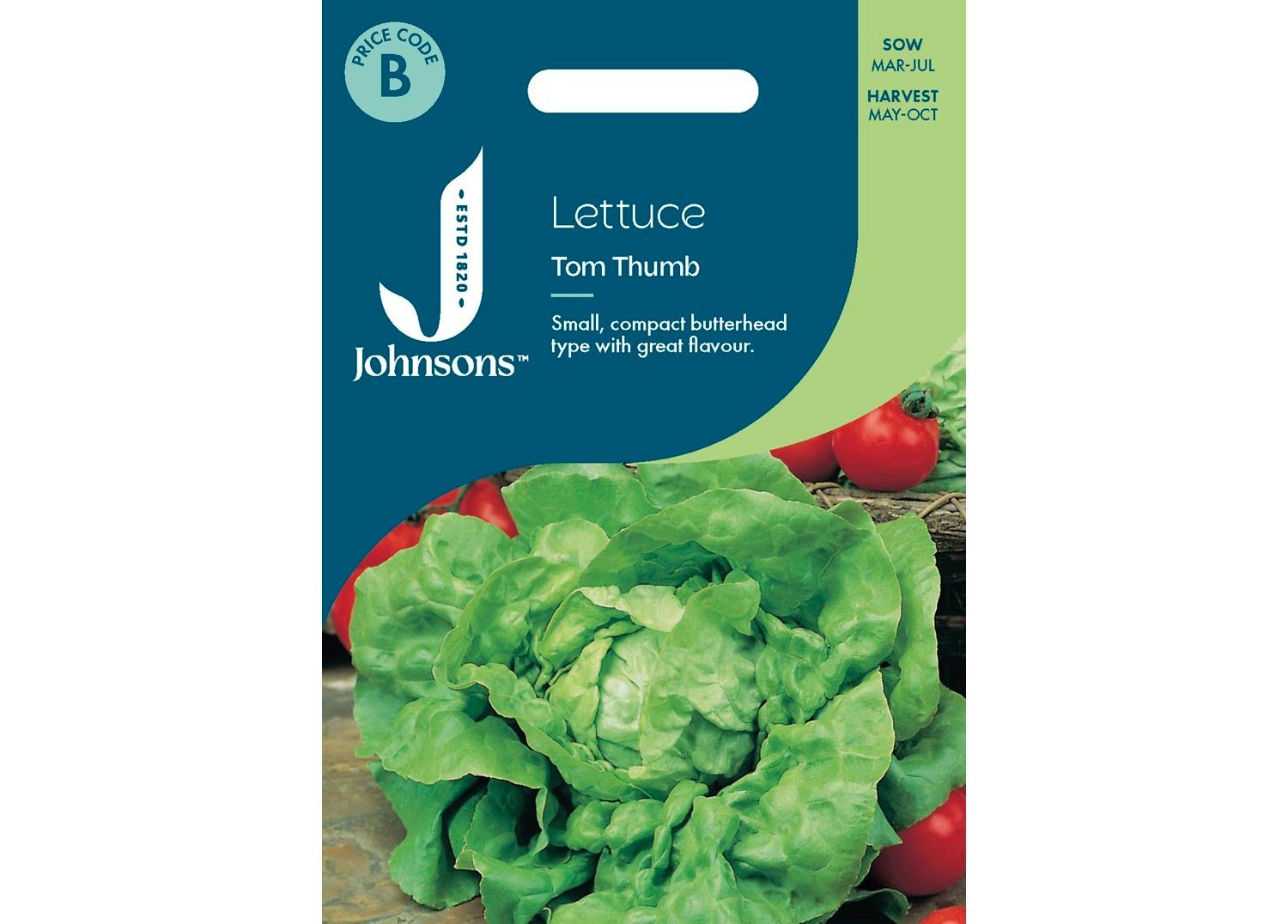 LETTUCE Tom Thumb LETTUCE Tom Thumb