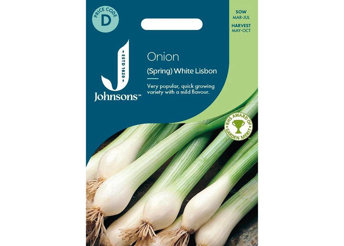 ONION (Spring) White Lisbon 
