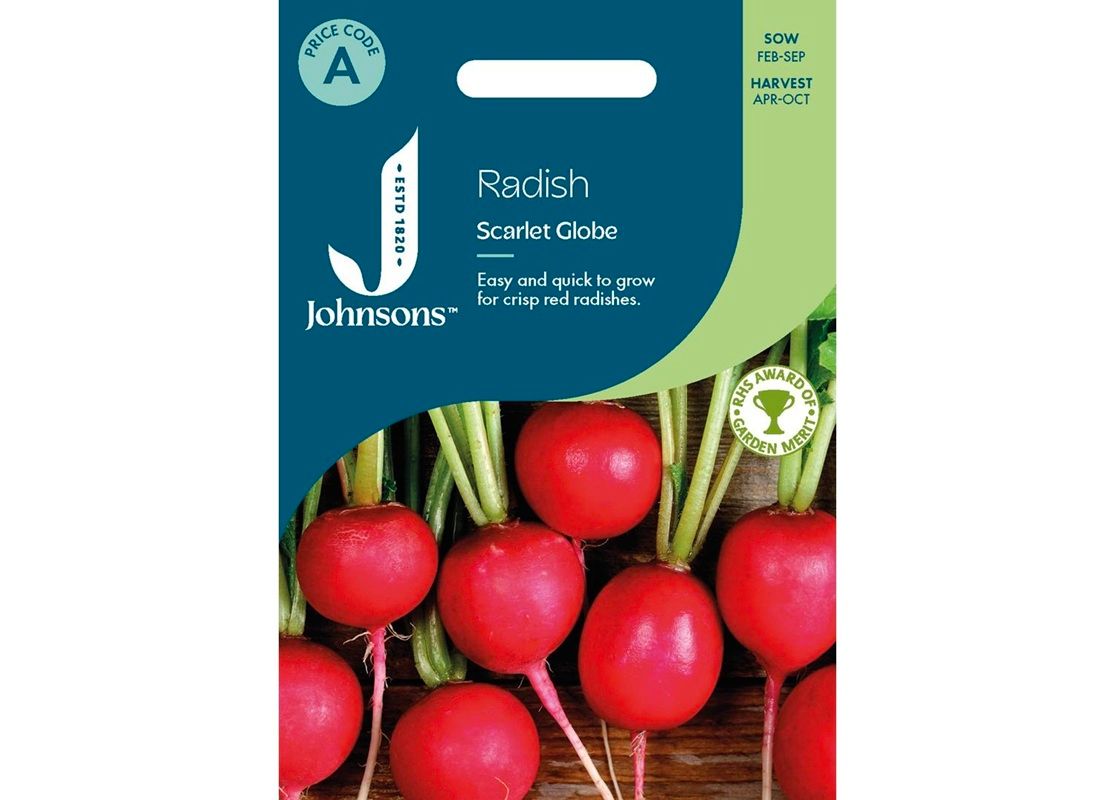 RADISH Scarlet Globe 