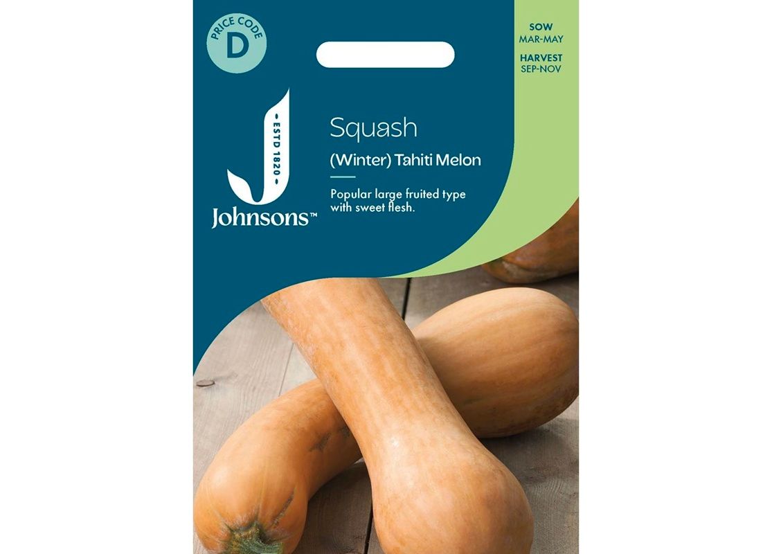 SQUASH (Winter) Tahiti Melon