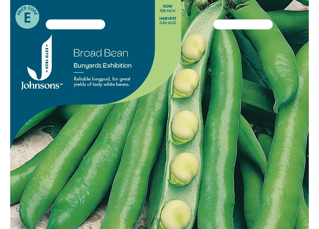 BROAD BEAN Bunyards Exhibition