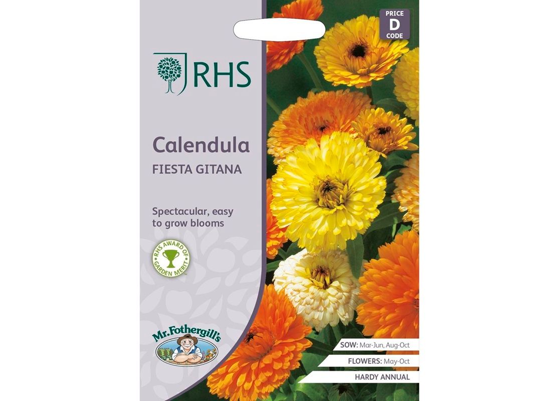 RHS CALENDULA Fiesta Gitana