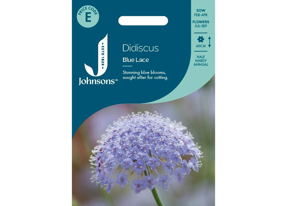 DIDISCUS Blue Lace