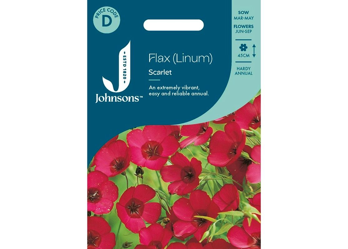 FLAX Scarlet - Linum FLAX Scarlet - Linum