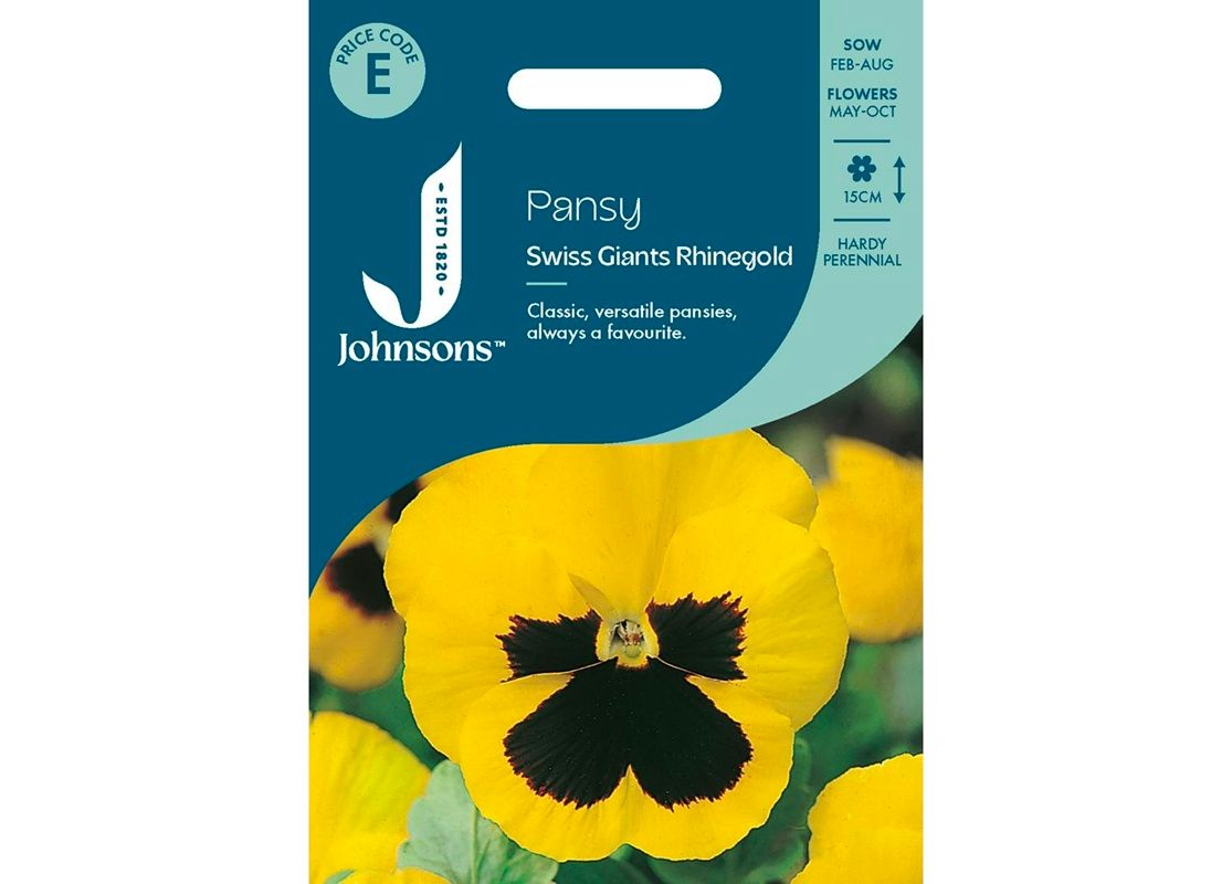 PANSY Swiss Giants Rhinegold