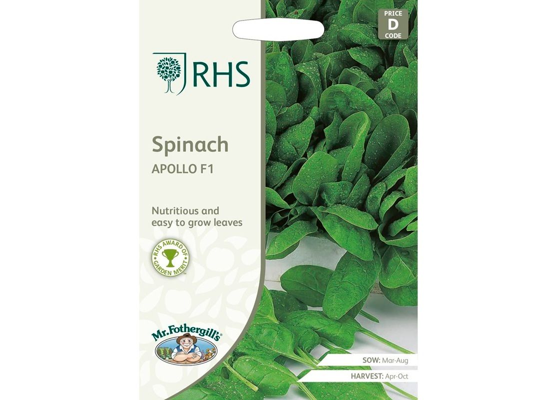 RHS Spinach Apollo F1
