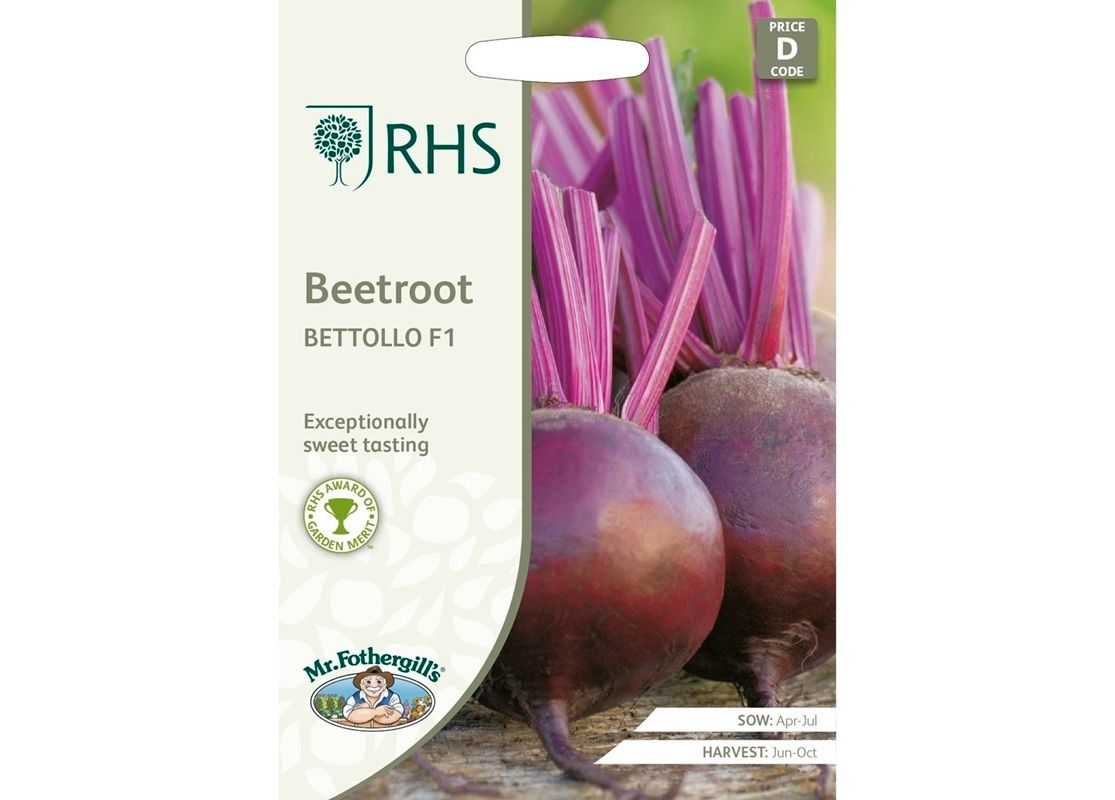 RHS Beetroot Bettollo F1