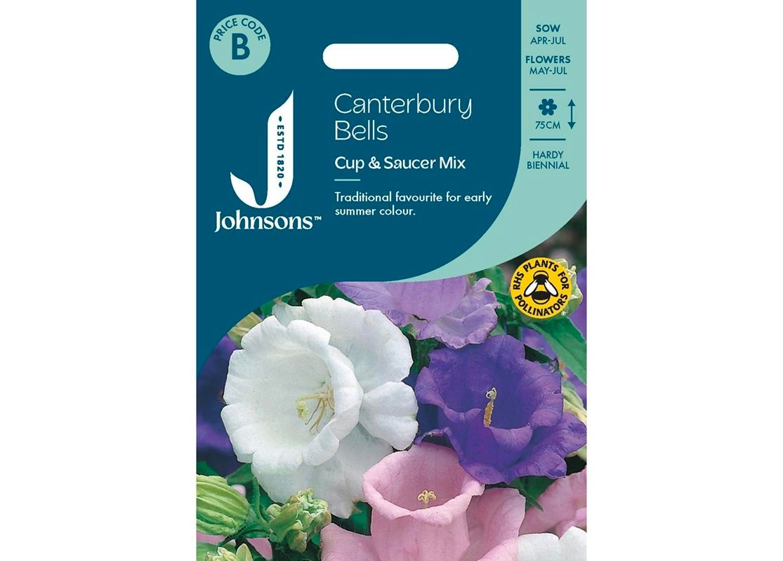 CANTERBURY BELLS Cup &amp; Saucer Mix