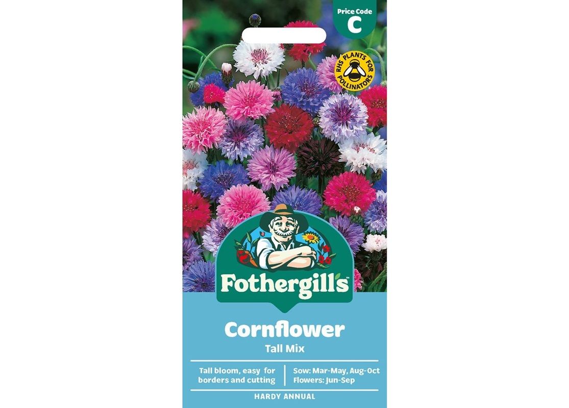 CORNFLOWER Tall Mix CORNFLOWER Tall Mix