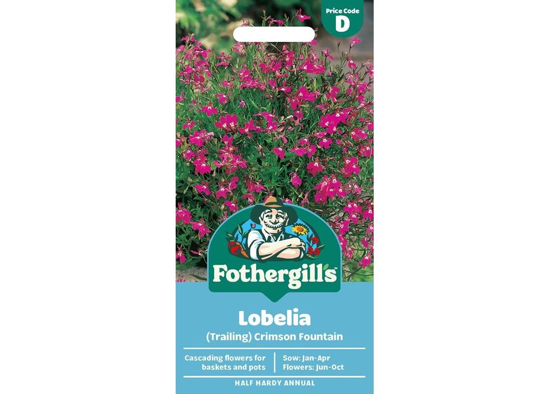 LOBELIA (Trailing) Crimson Fountain