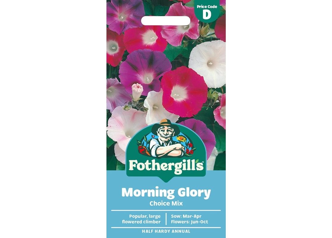 MORNING GLORY Choice Mix MORNING GLORY Choice Mix