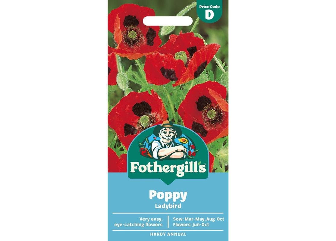 POPPY Ladybird POPPY Ladybird