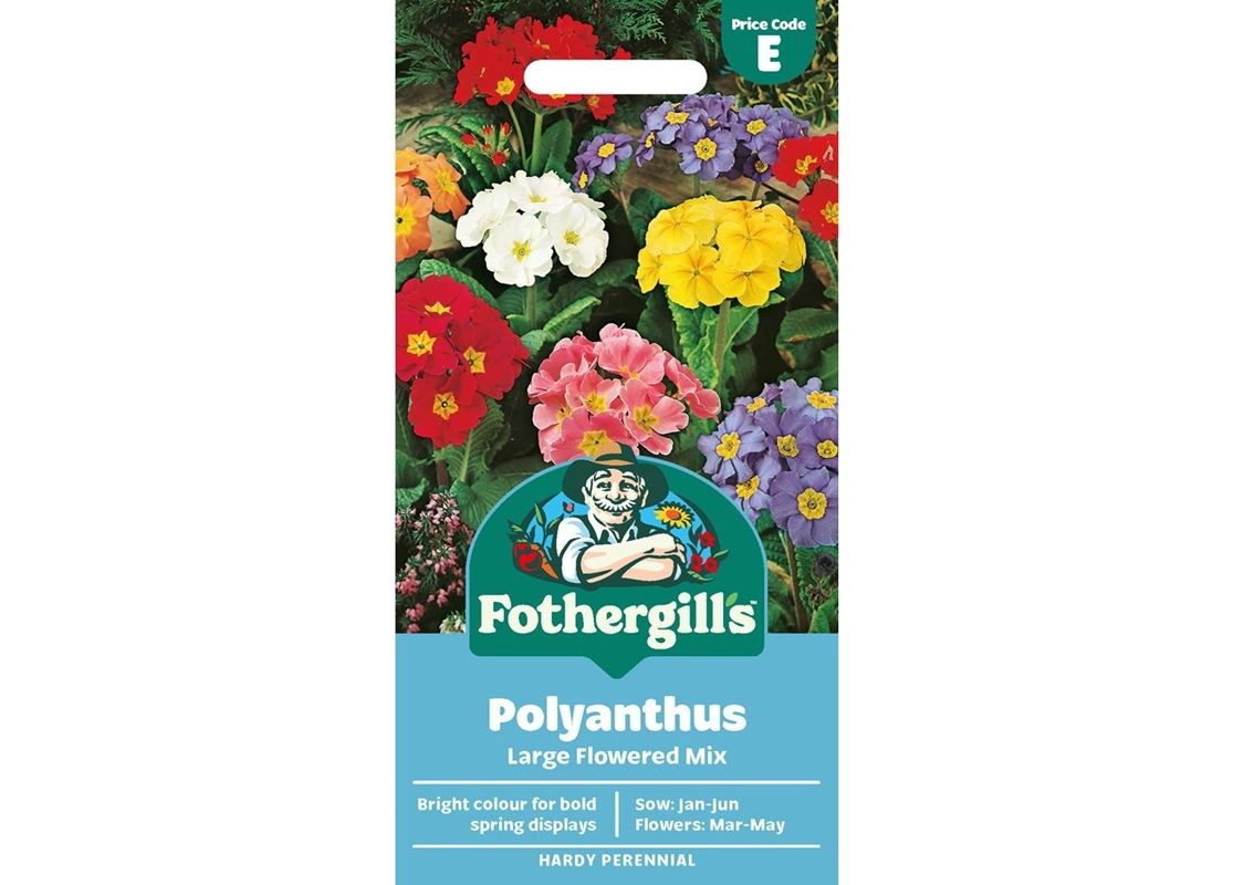 POLYANTHUS Large Flowered