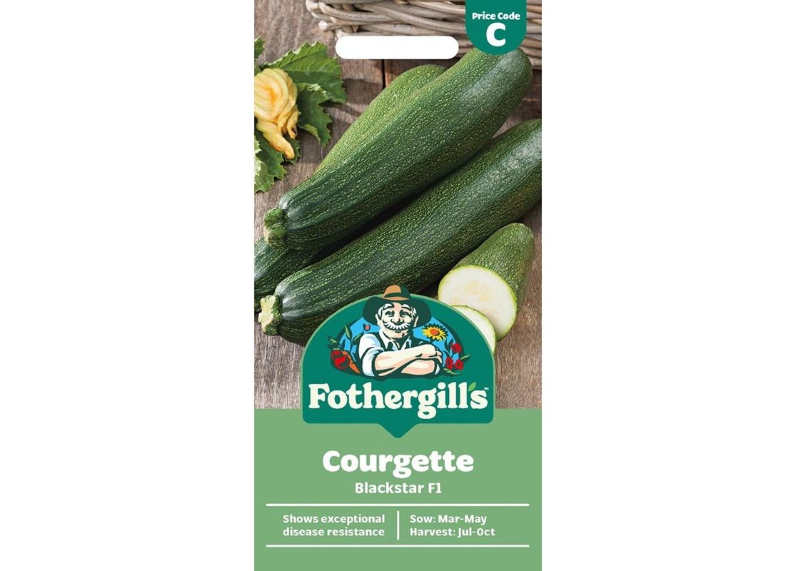 COURGETTE Blackstar F1 