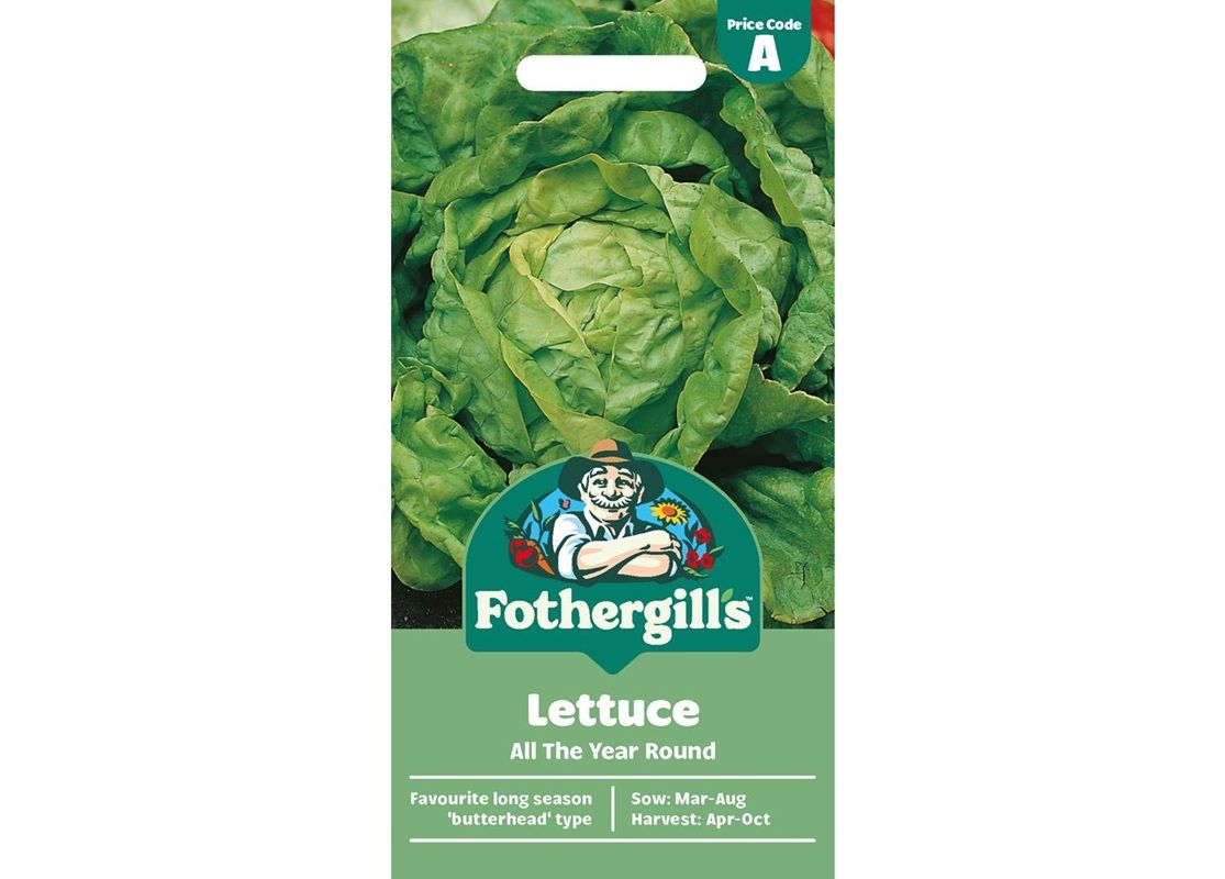 LETTUCE All The Year Round