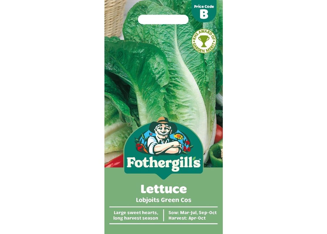 LETTUCE Lobjoits Green Cos LETTUCE Lobjoits Green Cos