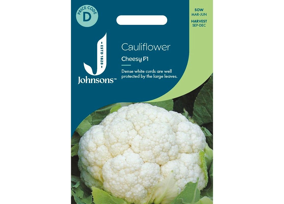 CAULIFLOWER Cheesy F1
