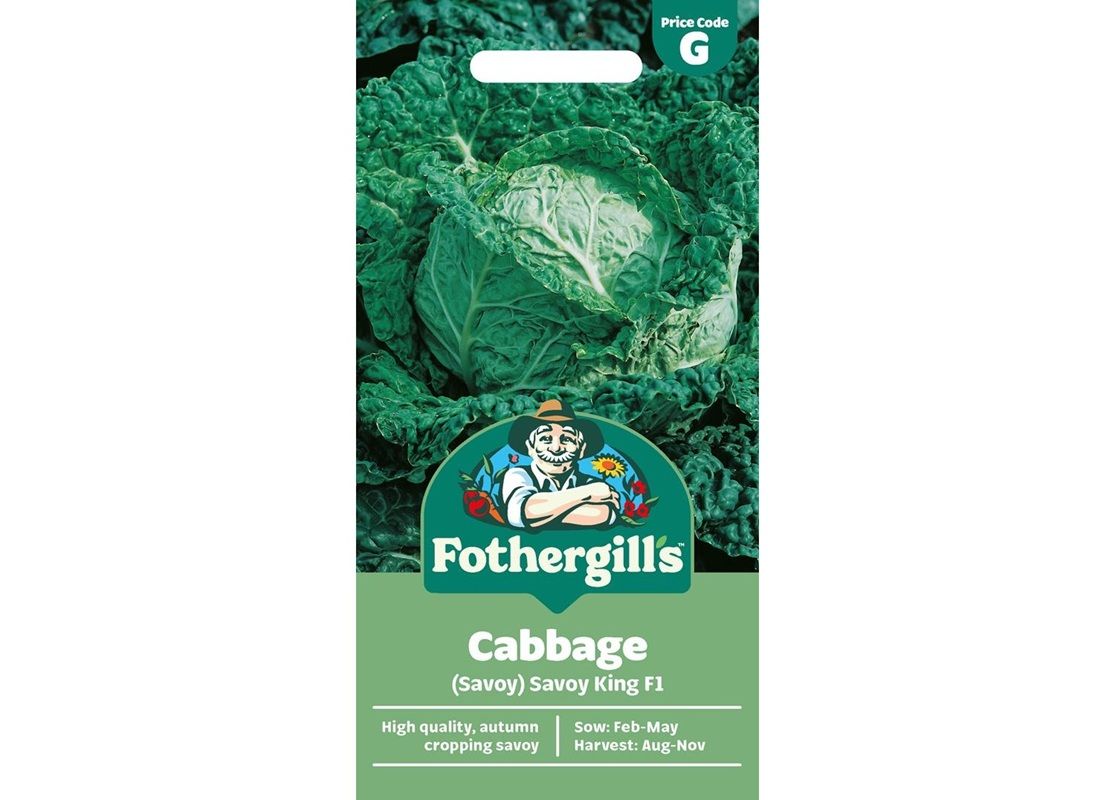 CABBAGE (Savoy) Savoy King F1