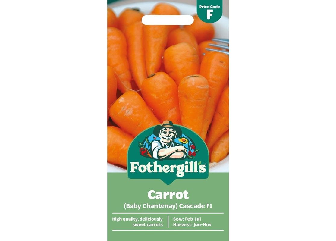 CARROT (Baby Chantenay) Cascade F1 CARROT (Baby Chantenay) Cascade F1