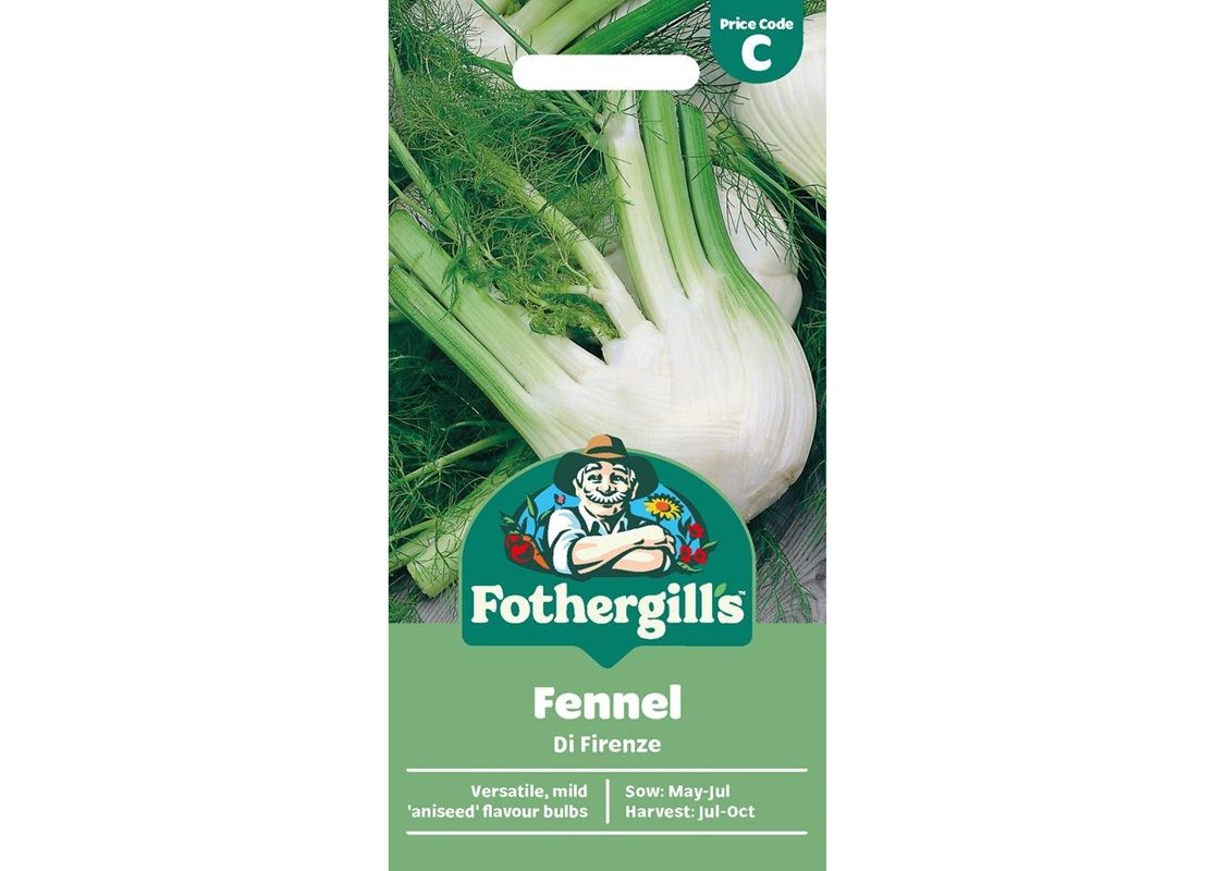 FENNEL Di Firenze FENNEL Di Firenze